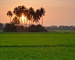 Siolim: A Village Inked by Nature’s Beauty